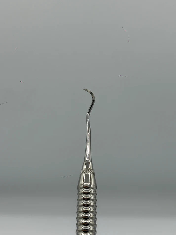 Scaler 204 (Cod. 1013-39)