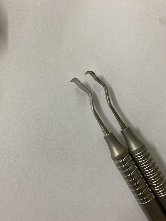 KIRKLAND 13k (Cod. 1013-19)