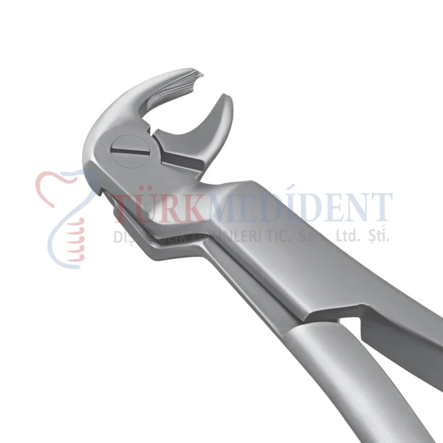 Extracting Forcep Fig.22R (TM-1019)