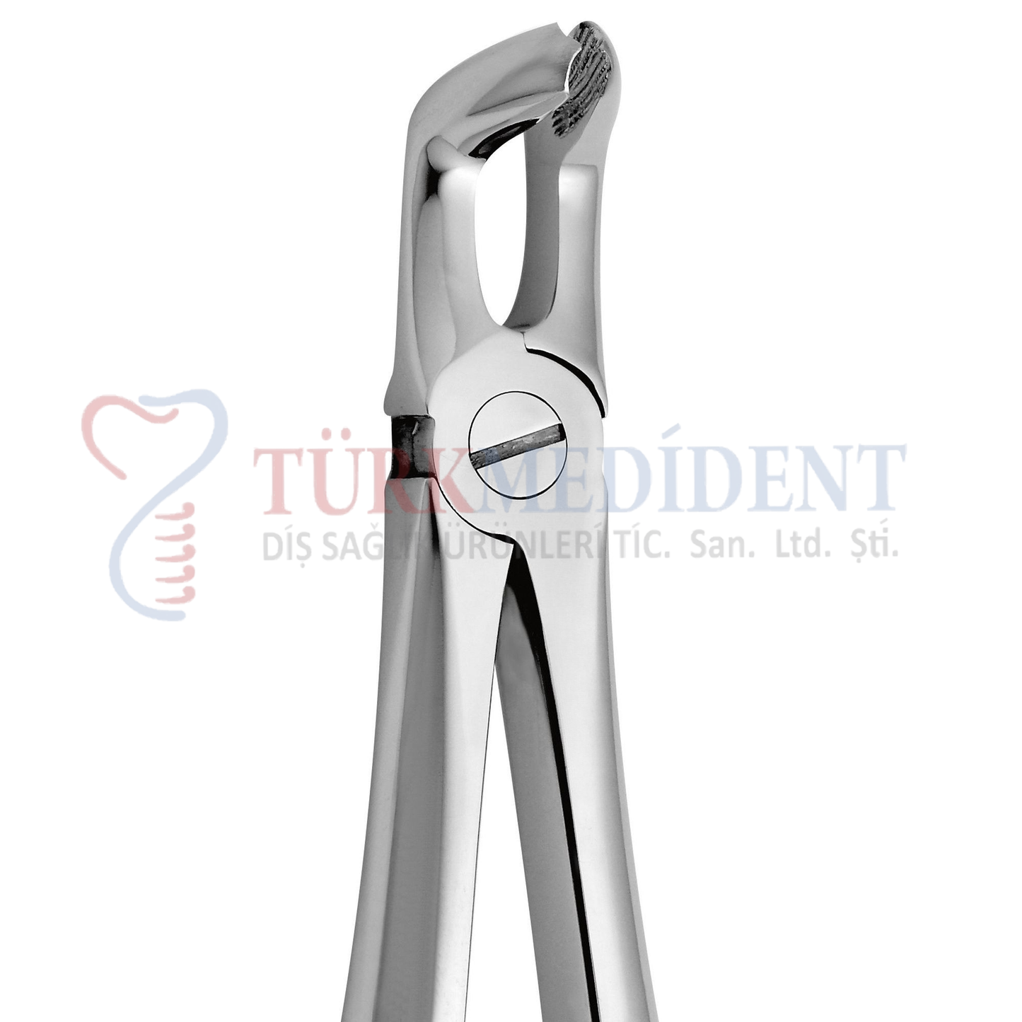 Extracting Forcep Fig.79 (TM-1038)