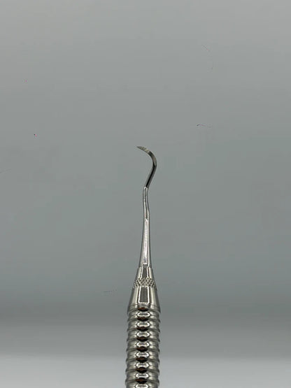 Scaler 204 (Cod. 1013-39)