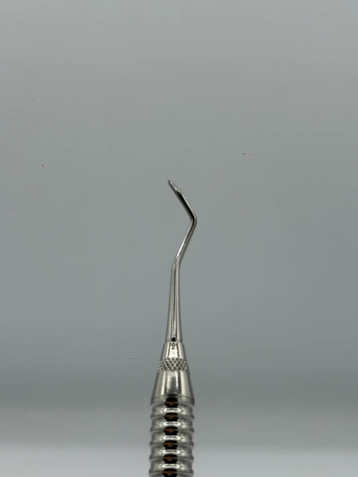 Scaler 204 (Cod. 1013-39)