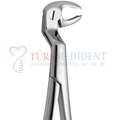Extracting Forcep Fig.22R (TM-1019)