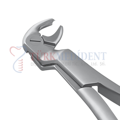 Extracting Forcep Fig.22R (TM-1019)