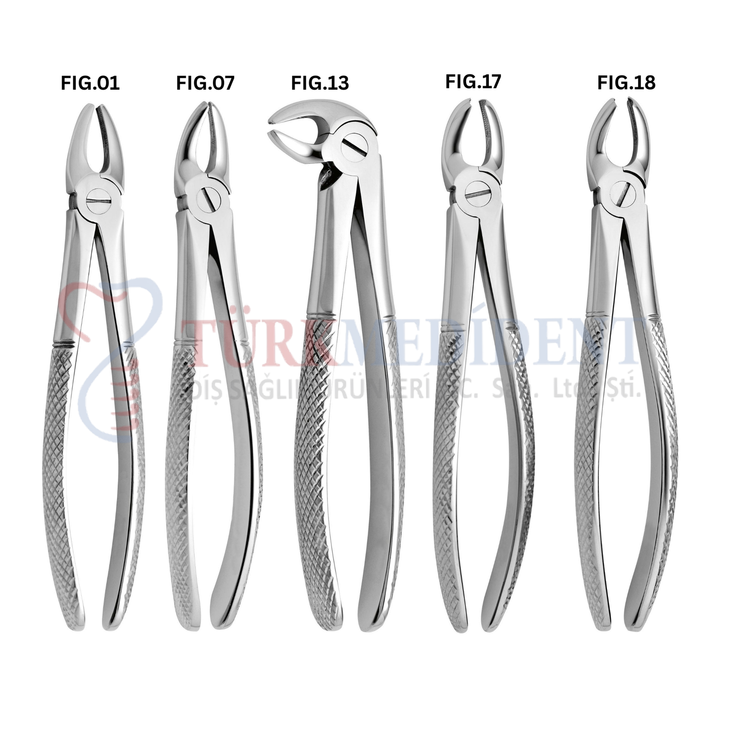 Extracting Forceps Set of 10 (TM-1051)