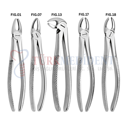 Extracting Forceps Set of 10 (TM-1051)