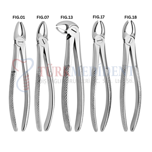 Extracting Forceps Set of 10 (TM-1051)