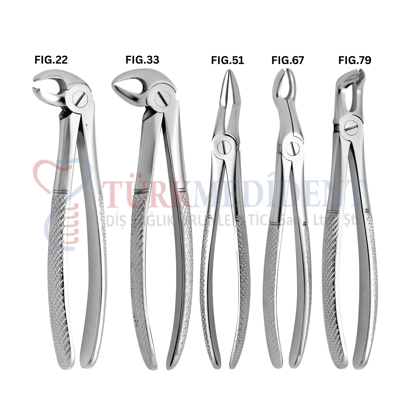 Extracting Forceps Set of 10 (TM-1051)