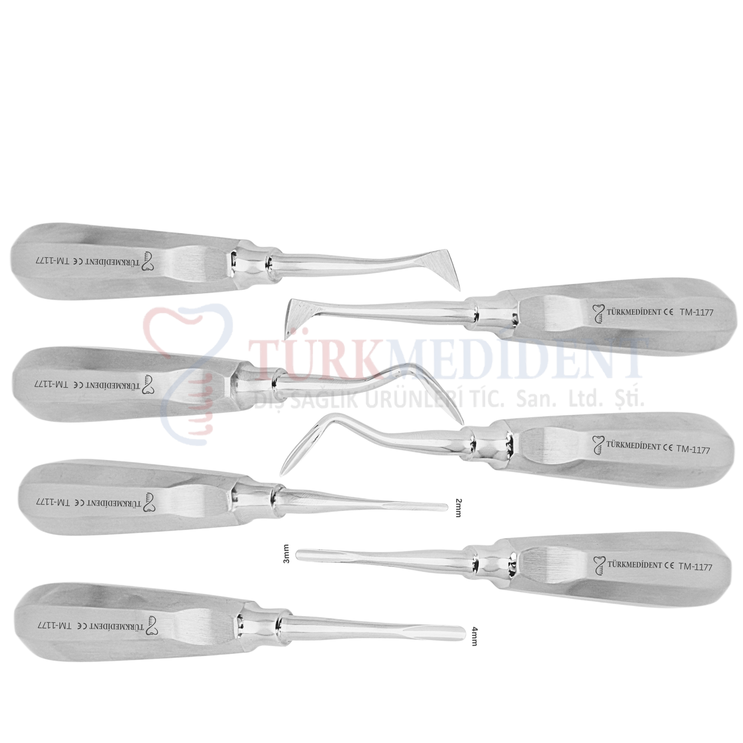 Root Elevator Set of 07 (TM-1177)