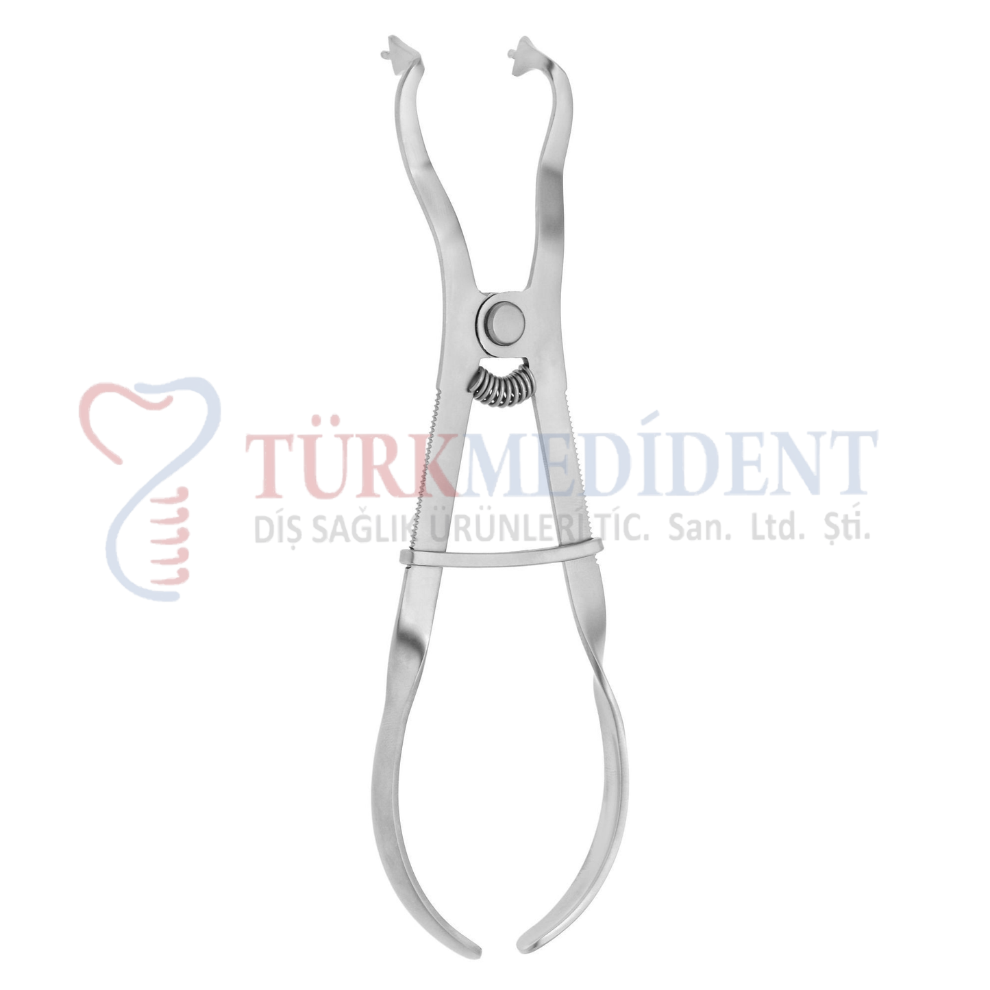 Ivory 17cm (TM-2081)