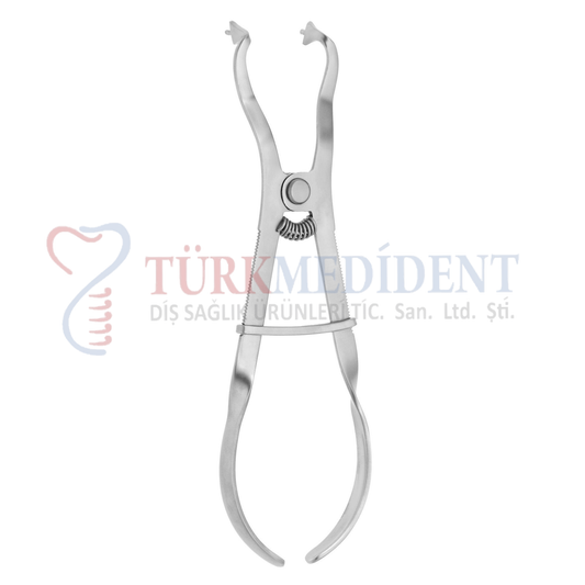 Ivory 17cm (TM-2081)